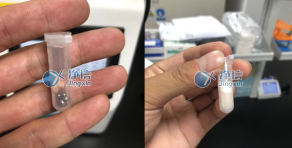 多樣品組織研磨儀助力解決老鼠肝組織的研磨實(shí)驗